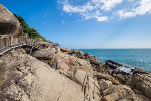 逃离烟雨江南，去三亚拥抱碧海蓝天